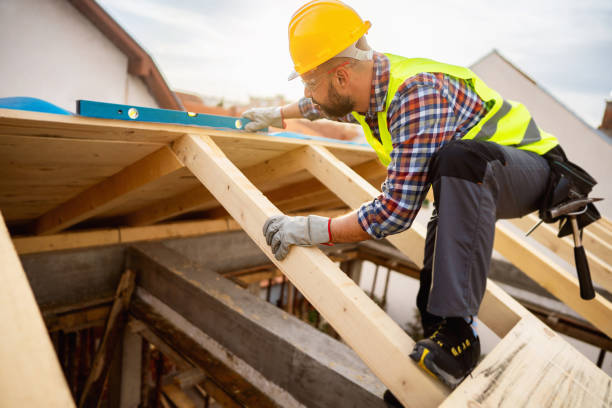 Best Metal Roofing Contractor  in Neosho, MO